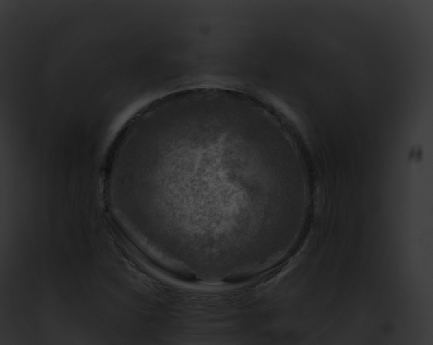 X0000093101310200710031450