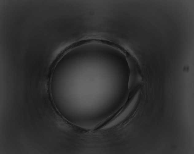 X0000093101312200710031450