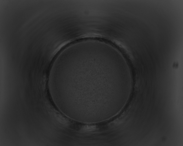 X0000093101313200710031450