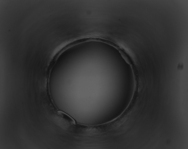 X0000093101316200710031451