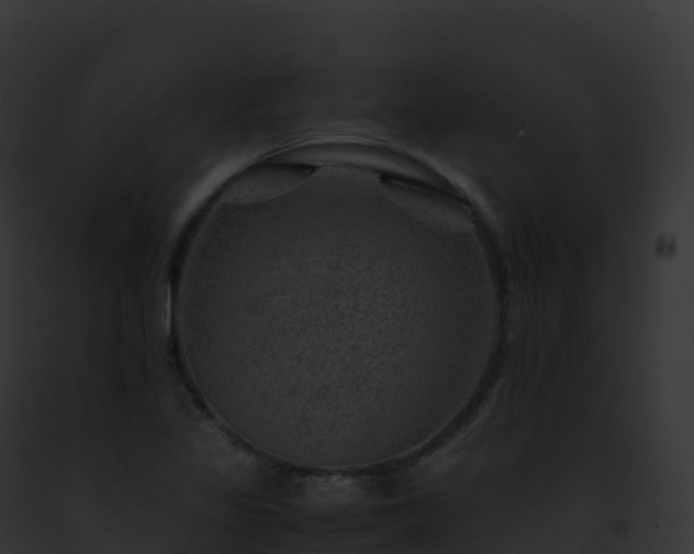 X0000093101317200710031451