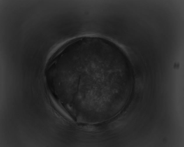 X0000093101319200710031451