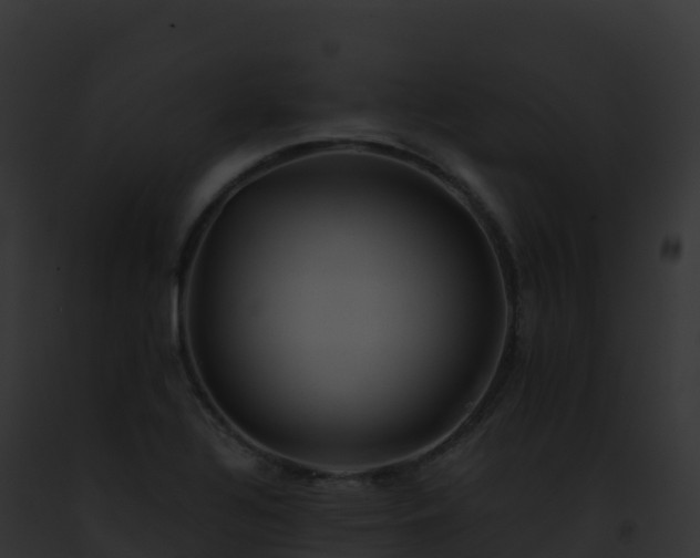 X0000093101320200710031451