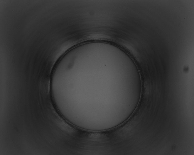 X0000093101322200710031451