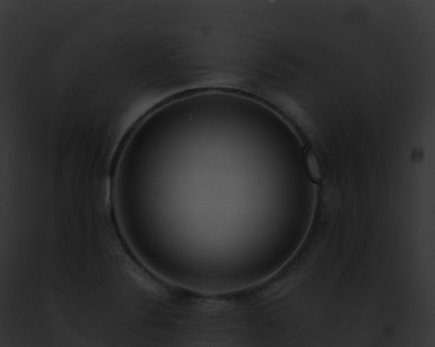 X0000093101324200710031451