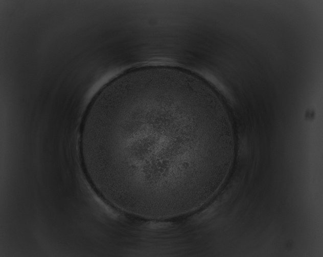 X0000093101325200710031451