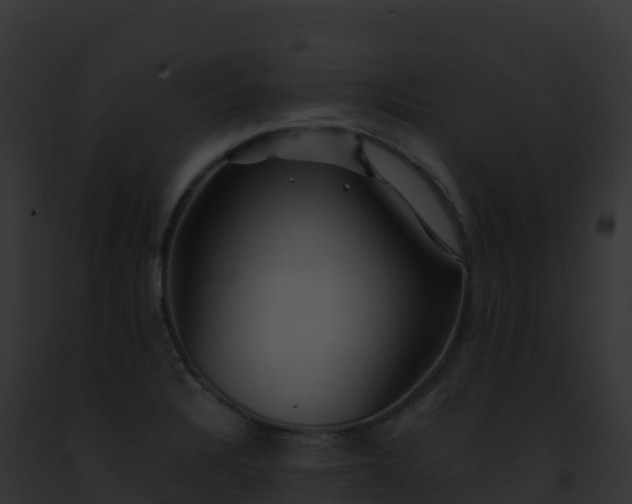 X0000093101328200710031451