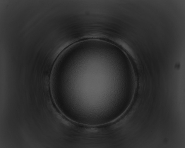 X0000093101329200710031451