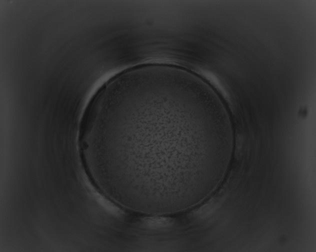 X0000093101331200710031451
