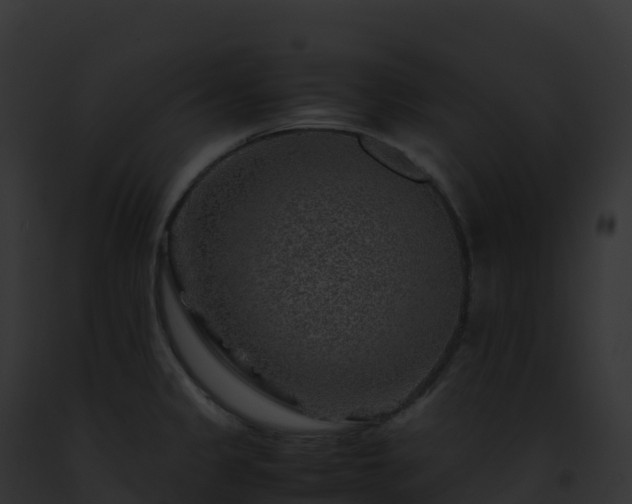 X0000093101333200710031451