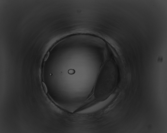 X0000093101334200710031451
