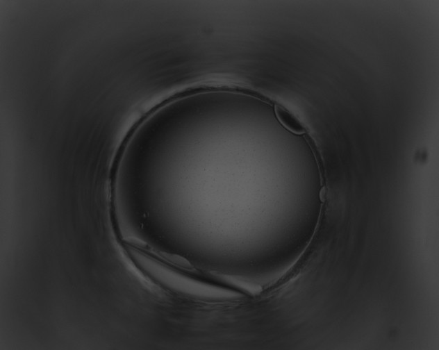X0000093101335200710031451