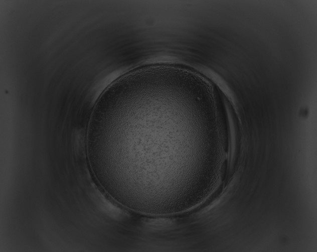 X0000093101337200710031451