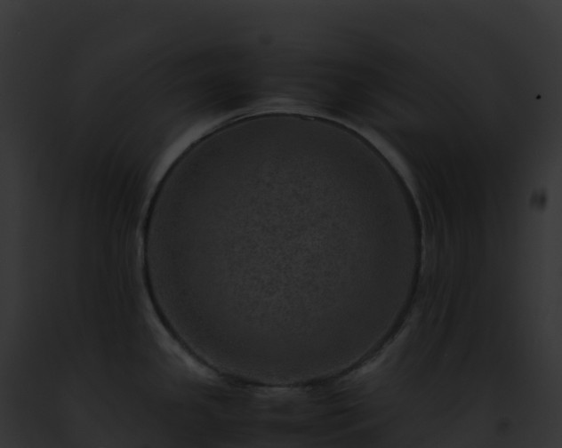 X0000093101341200710031451
