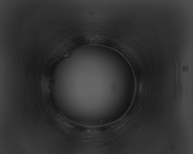 X0000093101346200710031450