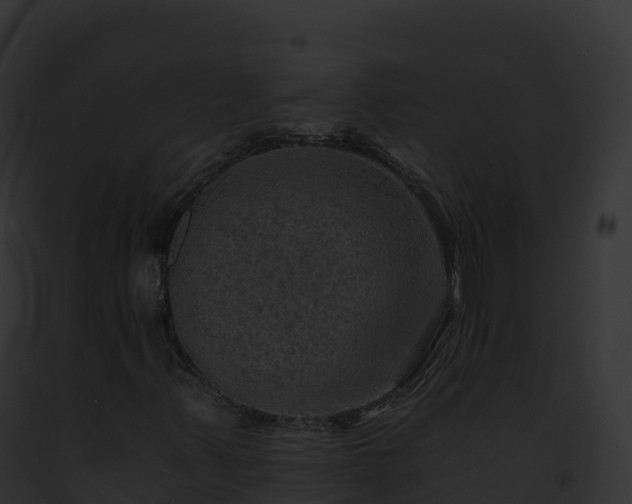 X0000093101347200710031450