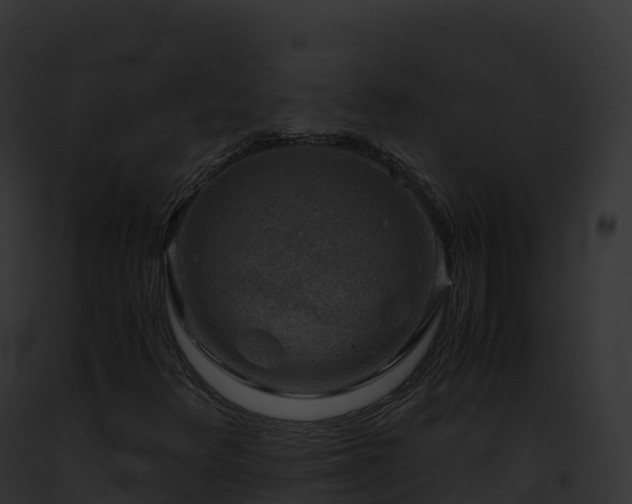 X0000093101348200710031450