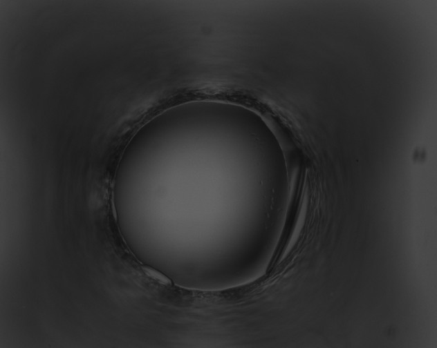 X0000093101349200710031450