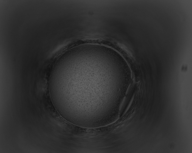 X0000093101350200710031450