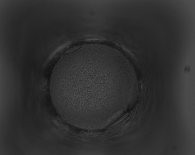 X0000093101351200710031450