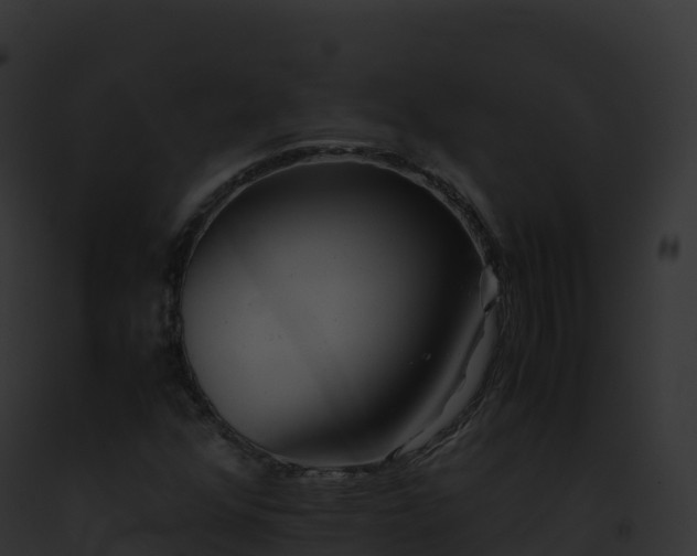 X0000093101352200710031450