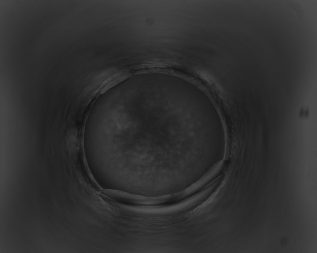 X0000093101353200710031450