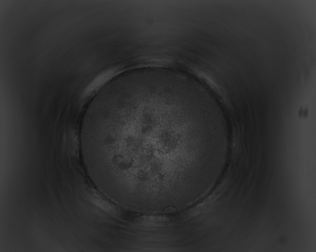 X0000093101354200710031450