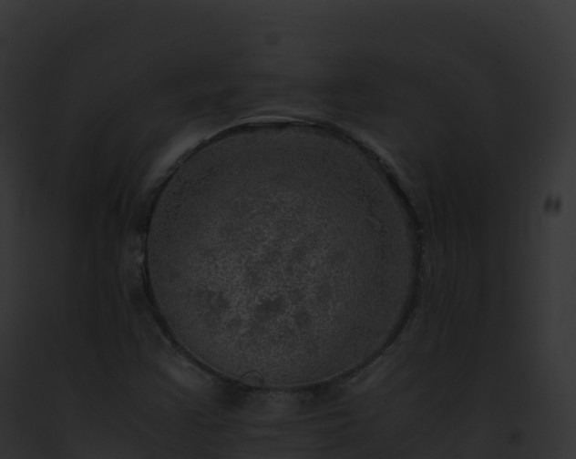 X0000093101355200710031450