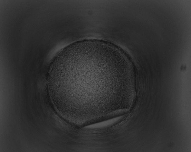 X0000093101359200710031450