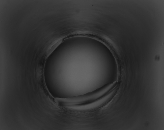 X0000093101361200710031450