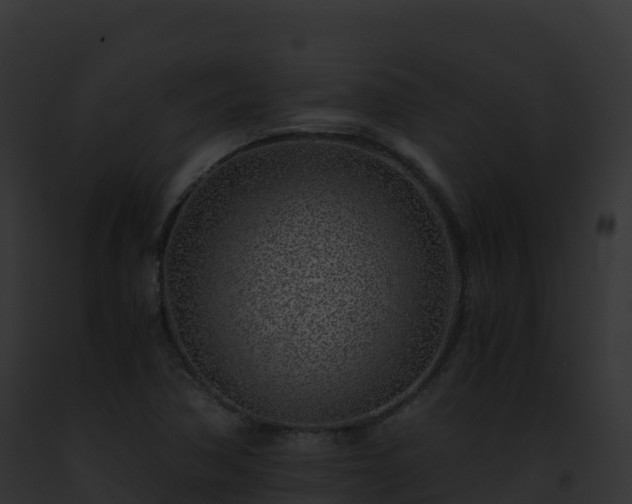 X0000093101362200710031450