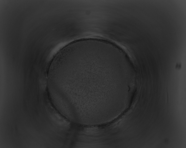 X0000093101363200710031450