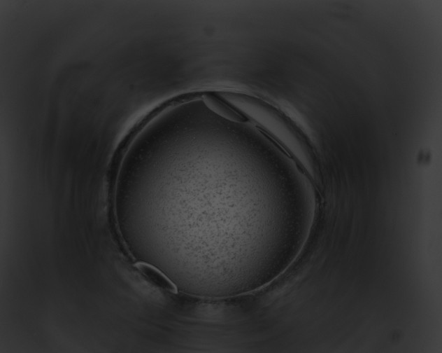 X0000093101364200710031450