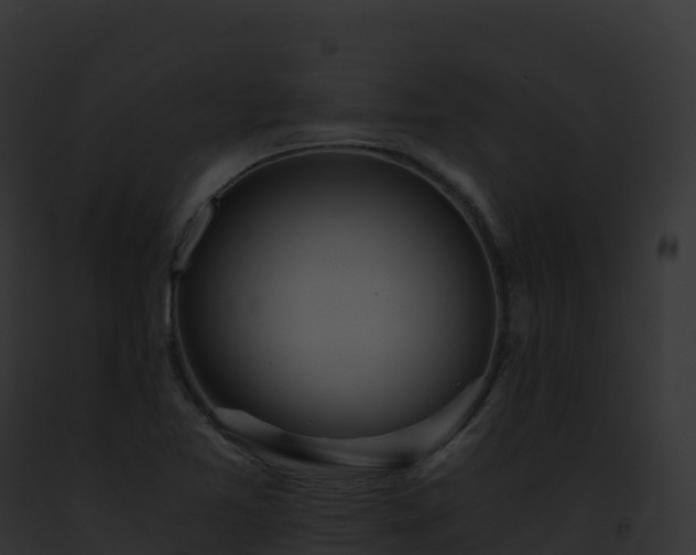 X0000093101365200710031450
