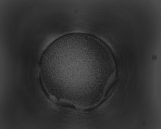 X0000093101367200710031450