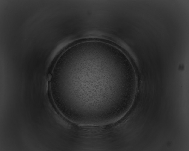 X0000093101368200710031450