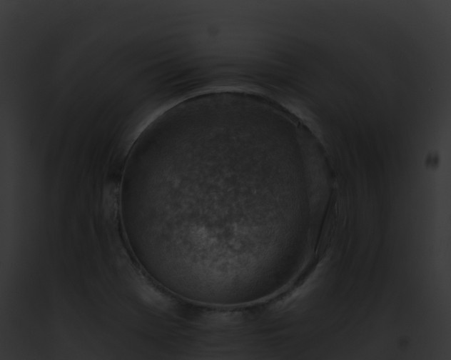 X0000093101369200710031450