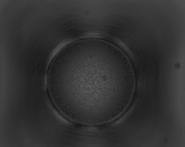 X0000093101370200710031450