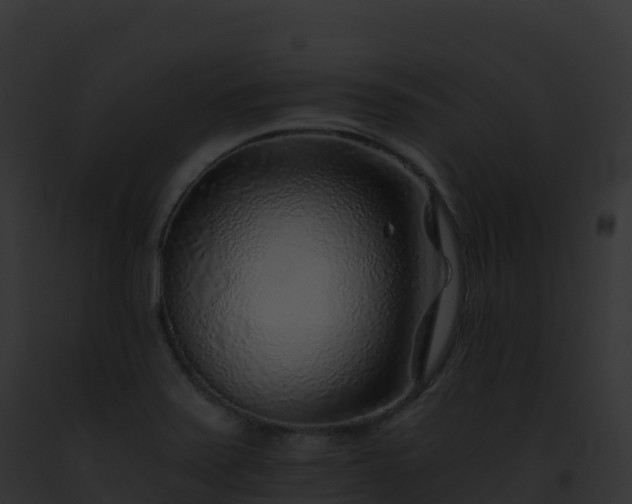 X0000093101371200710031450