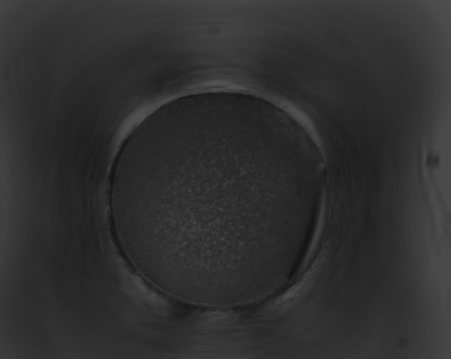 X0000093101373200710031450