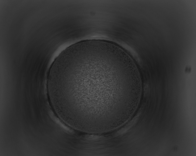 X0000093101374200710031450
