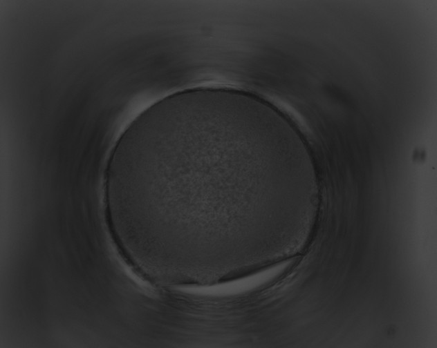 X0000093101375200710031450