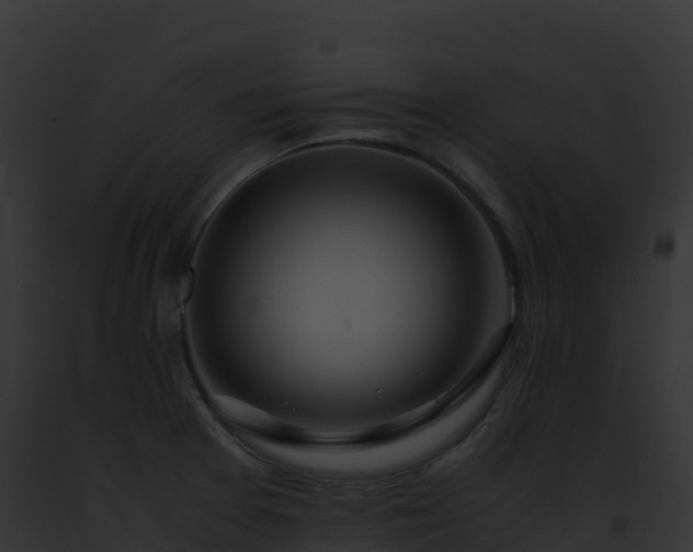 X0000093101377200710031450
