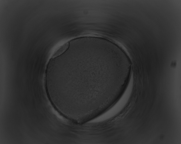 X0000093101379200710031450