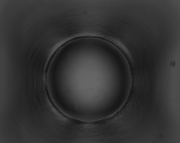 X0000093101380200710031450