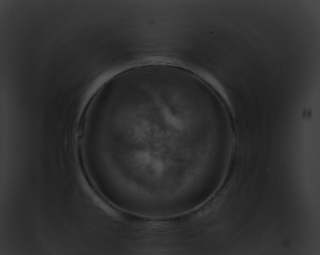 X0000093101381200710031450