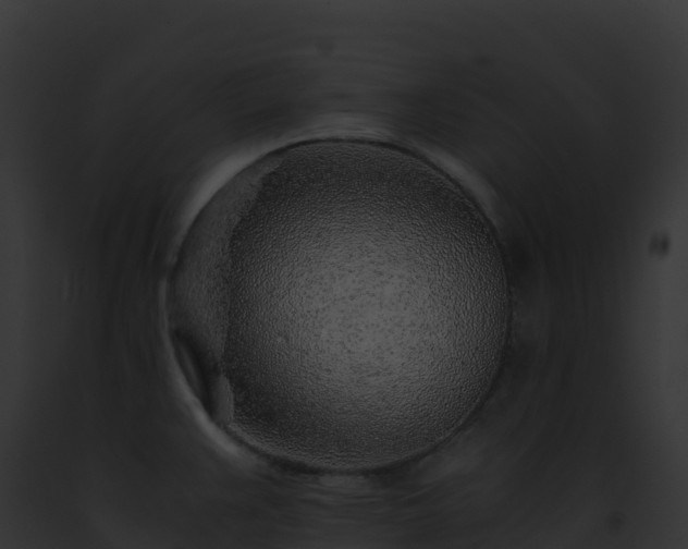 X0000093101383200710031450
