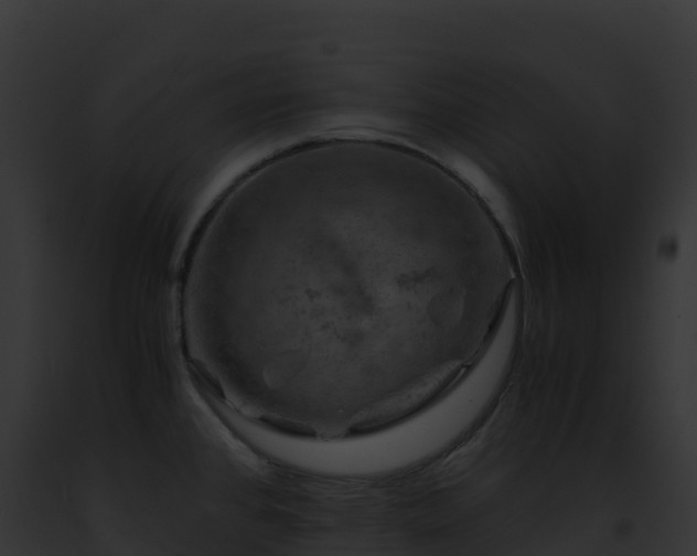 X0000093101384200710031450