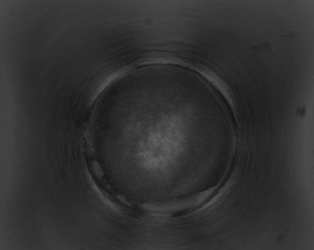 X0000093101385200710031450