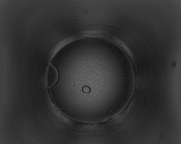 X0000093101386200710031450